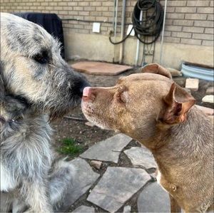 Meet your Posher, Ann